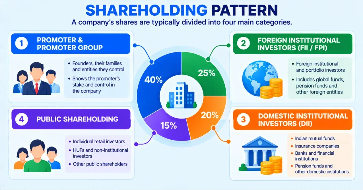 India Shareholding Pattern Infographic