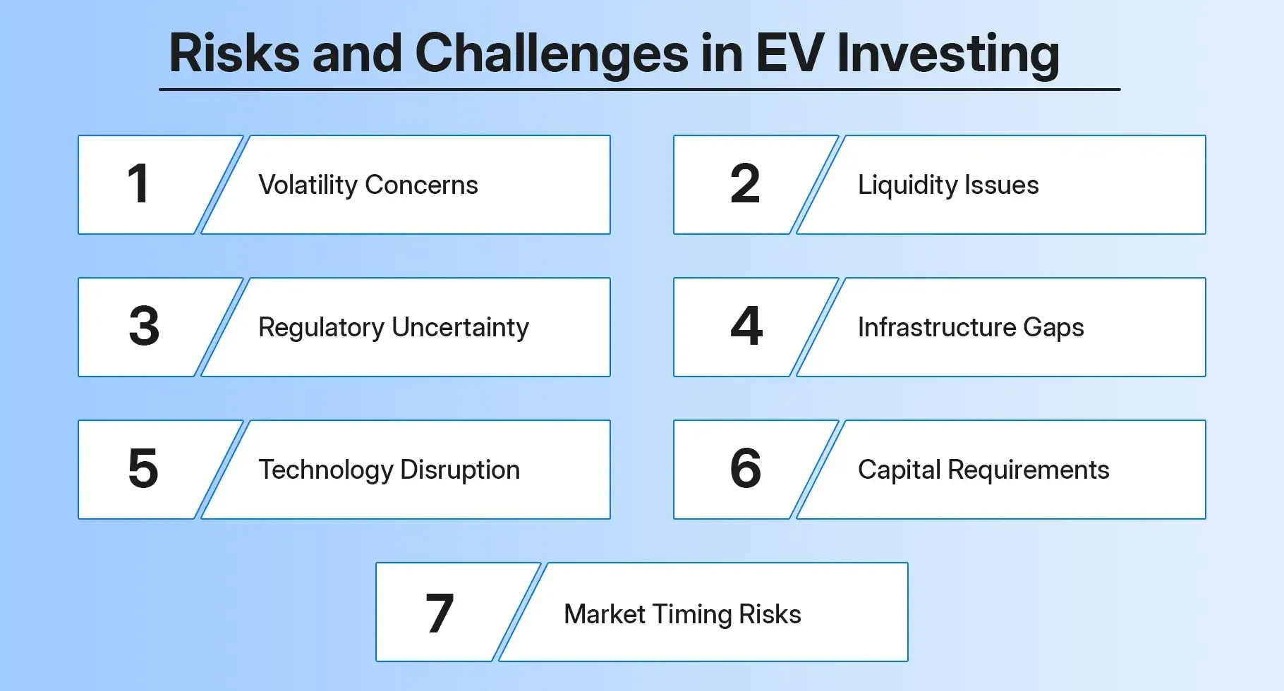 Risks and Challenges in EV Investing Risks and Challenges in EV Investing