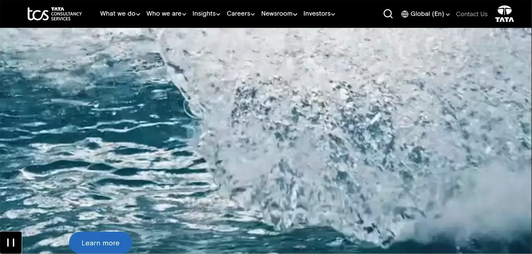 Tata Consultancy Services